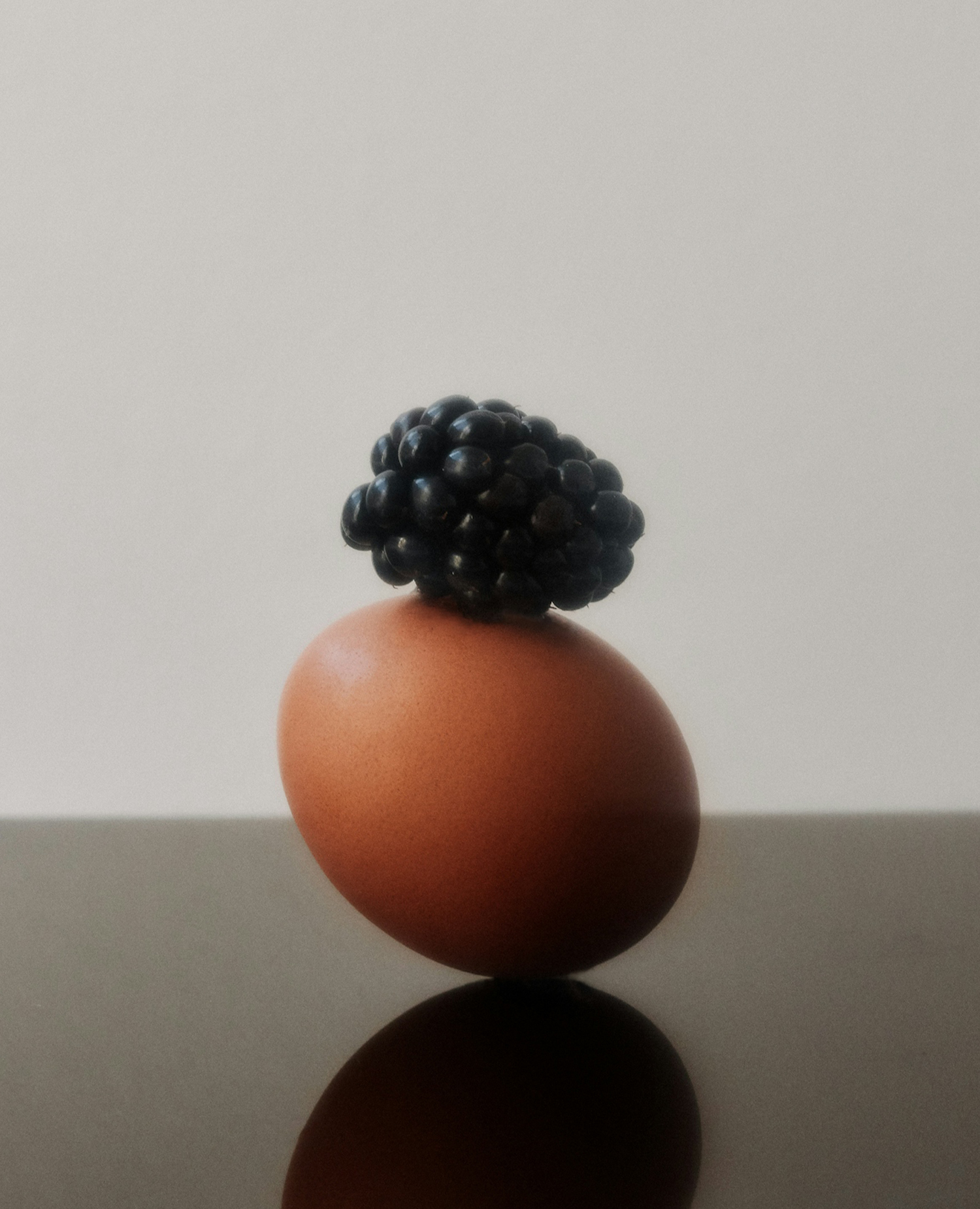 brown-egg-blackberry